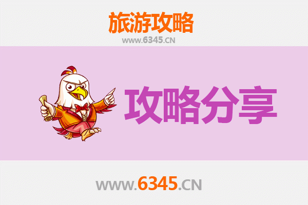 亳州蒙城至湄洲岛旅游攻略：跟团还是自由行深度解析